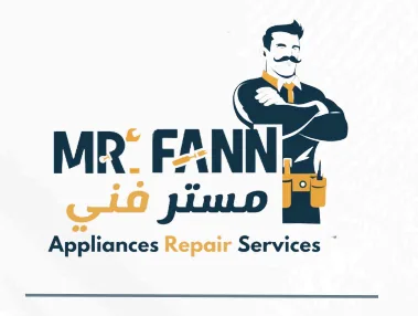 Mr Fan